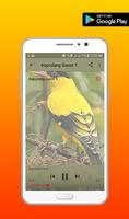 Master Burung Kepodang Emas imagem de tela 2