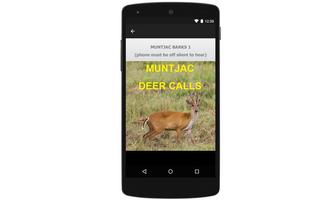 Muntjac Deer Calls capture d'écran 2