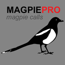 Magpie Hunting Calls APK