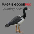 Magpie Goose Calls for Hunting APK