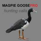 Magpie Goose Calls UK ikona