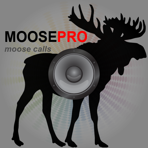 Moose Calls for Hunting Moose