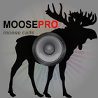 Moose Calls for Hunting Moose icon