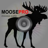 Moose Calls for Hunting Moose screenshot 2