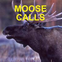 Moose Calls screenshot 3