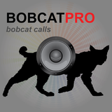 Bobcat Hunting Calls UK ไอคอน