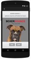 Boxer captura de pantalla 2