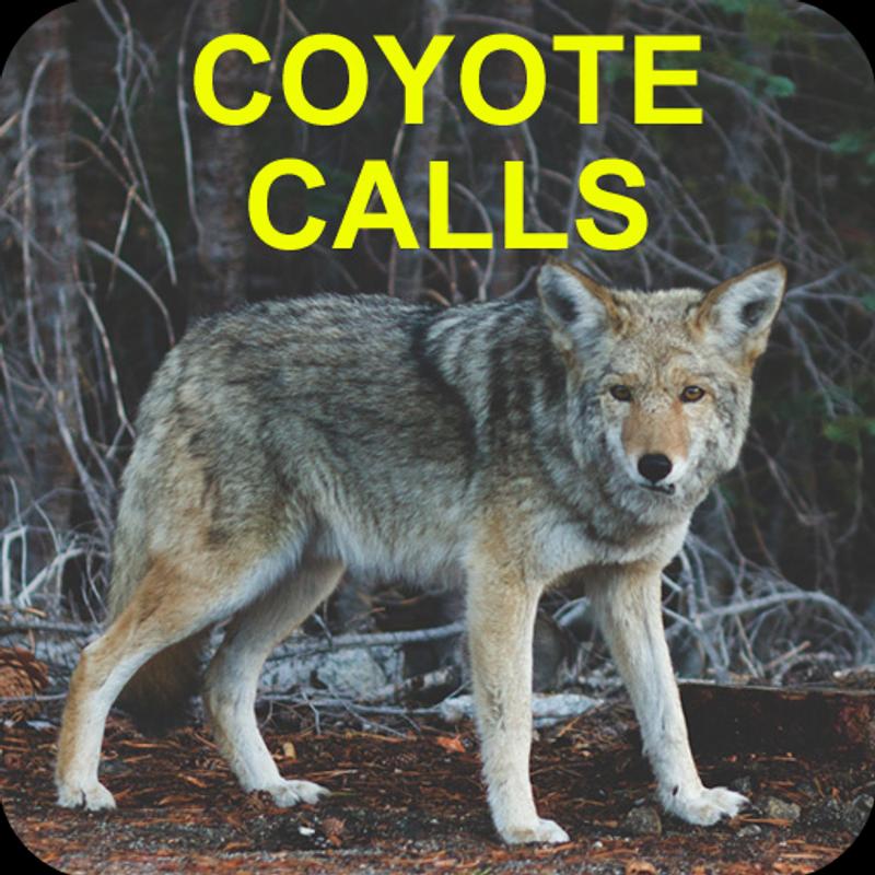 Coyote Calls for Android APK Download