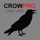 APK Crow Calls and Crow Sounds