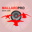 Duck Hunting Calls-Duck Calls APK