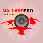 Duck Hunting Calls-Duck Calls أيقونة