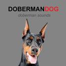Doberman Dog Sounds and Barks APK