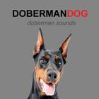 Doberman Dog Sounds and Barks icône