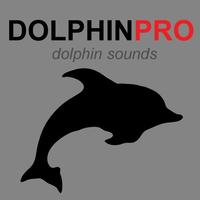 Bottlenose Dolphin Sounds Plakat