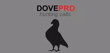 Dove Calls for Hunting