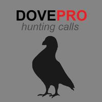 Dove Calls for Hunting Poster