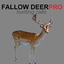 Fallow Deer Calls for Hunting APK