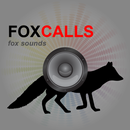 Fox Calls & Fox Sounds APK