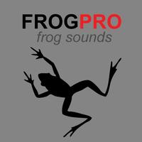 Frog Sounds & Frog Calls poster