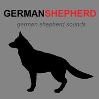 German Shepherd & Dog Barking Affiche