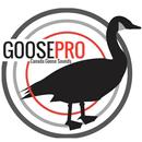 Goose Calls, Canada Goose Call APK