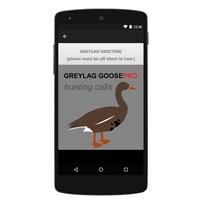 Greylag Goose Calls captura de pantalla 1