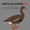 Greylag Goose Calls AU APK