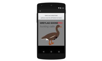 برنامه‌نما Greylag Goose Calls to Hunt عکس از صفحه