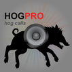 Wild Boar Calls for Hunting