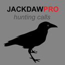 Jackdaw Calls for Hunting AU APK