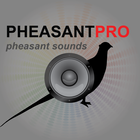 Pheasant Calls - Pheasant Hunt icône