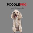 Poodle Dog Sounds & Dog Barks APK