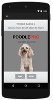 Poodle syot layar 2