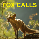 APK Predator Calls for Fox Hunting