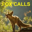 Predator Calls -Fox Hunting AU APK
