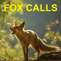 Predator Calls -Fox Hunting AU Affiche