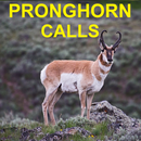 Pronghorn Hunting Calls APK