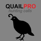 Quail Hunting Calls icono