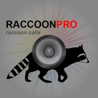 Raccoon Calls poster