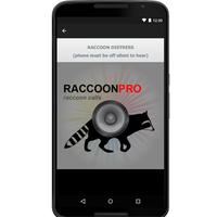 Raccoon Calls screenshot 1