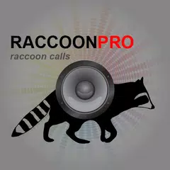 Raccoon Calls - Raccoon Sounds APK 下載