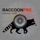 Raccoon Sounds for Hunting APK