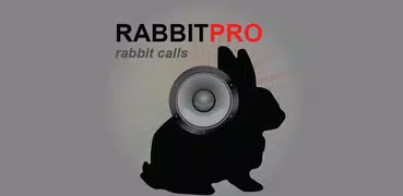 Rabbit Calls - Rabbit Hunting