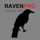 APK Raven Calls for Hunting