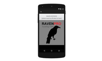 Raven Calls screenshot 1