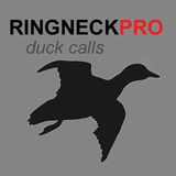 Ringneck 아이콘