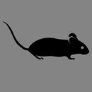 Rodent Calls & Rodent Sounds for Rodent Hunting APK