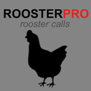 Rooster Sounds & Chicken Sound APK