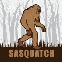 Sasquatch Plakat