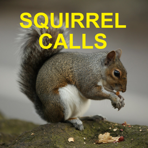 Squirrel Hunting Calls